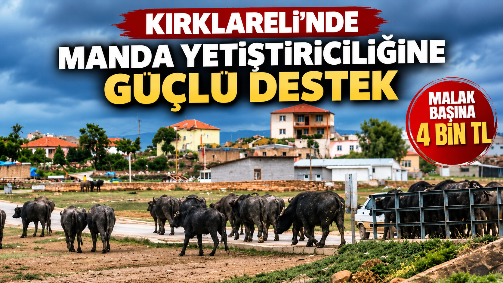 Kırklareli İl Tarım ve Orman Müdürlüğü, 2026 yılı hayvancılık destekleri